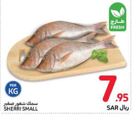 King Fish  in كارفور in مملكة العربية السعودية, السعودية, سعودية - جدة
