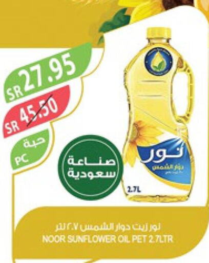 NOOR Sunflower Oil  in Farm  in KSA, Saudi Arabia, Saudi - Sakaka