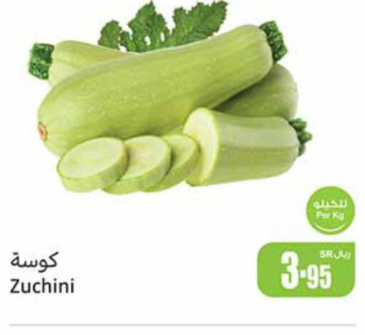  Zucchini  in Othaim Markets in KSA, Saudi Arabia, Saudi - Jubail