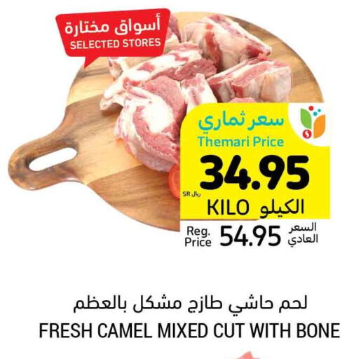  Camel meat  in أسواق التميمي in مملكة العربية السعودية, السعودية, سعودية - الجبيل‎