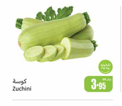  Zucchini  in أسواق عبد الله العثيم in مملكة العربية السعودية, السعودية, سعودية - المدينة المنورة