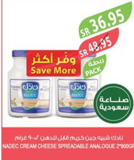NADEC Analogue Cream  in Farm  in KSA, Saudi Arabia, Saudi - Jubail
