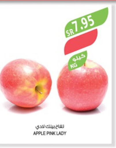  Apples  in Farm  in KSA, Saudi Arabia, Saudi - Yanbu