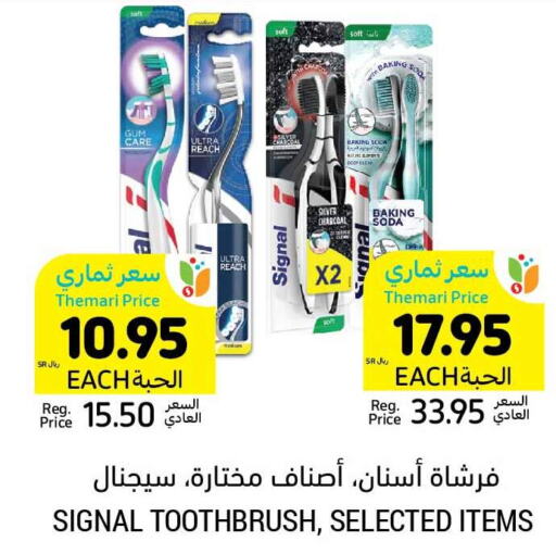 SIGNAL Toothbrush  in Tamimi Market in KSA, Saudi Arabia, Saudi - Medina