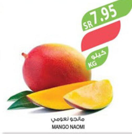 Mango Mango  in Farm  in KSA, Saudi Arabia, Saudi - Jeddah