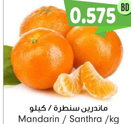  Orange  in بحرين برايد in البحرين