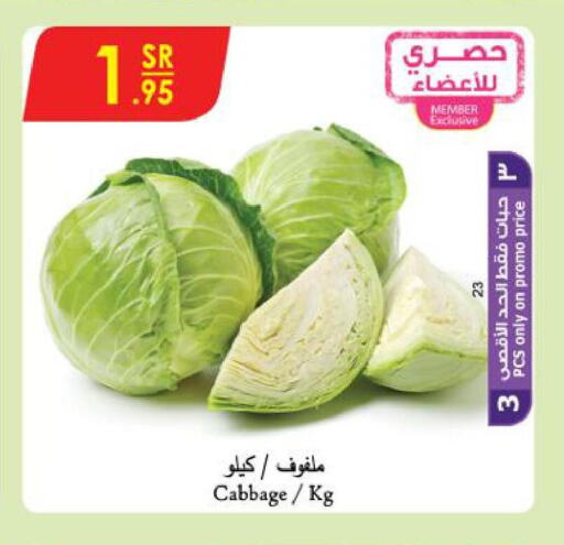  Cabbage  in الدانوب in مملكة العربية السعودية, السعودية, سعودية - جدة