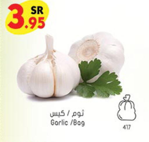  Garlic  in Bin Dawood in KSA, Saudi Arabia, Saudi - Medina
