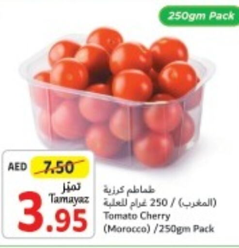  Tomato  in تعاونية الاتحاد in الإمارات العربية المتحدة , الامارات - الشارقة / عجمان