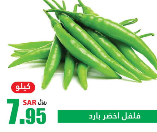  Chilli / Capsicum  in Al Andalus Market in KSA, Saudi Arabia, Saudi - Jeddah