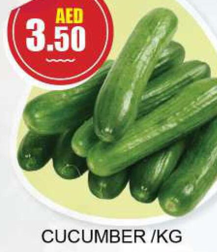  Cucumber  in كويك سوبرماركت in الإمارات العربية المتحدة , الامارات - الشارقة / عجمان