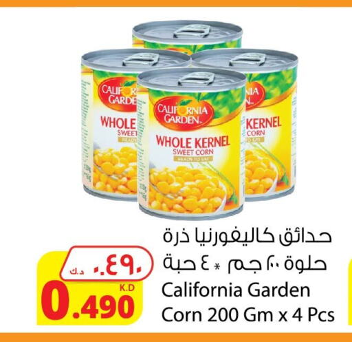 CALIFORNIA   in Agricultural Food Products Co. in Kuwait - Jahra Governorate