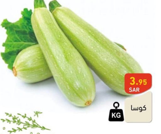  Zucchini  in Aswaq Ramez in KSA, Saudi Arabia, Saudi - Riyadh