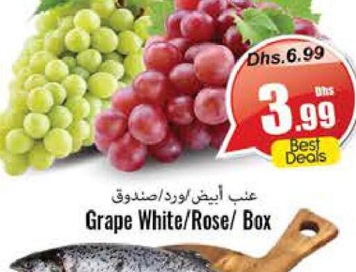  Grapes  in PASONS GROUP in UAE - Fujairah