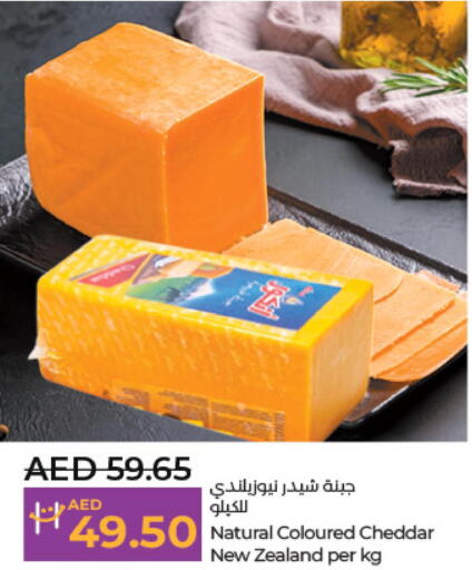  Cheddar Cheese  in لولو هايبرماركت in الإمارات العربية المتحدة , الامارات - ٱلْعَيْن‎