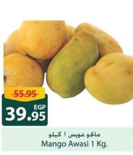Mango Mango  in Spinneys  in Egypt - Cairo