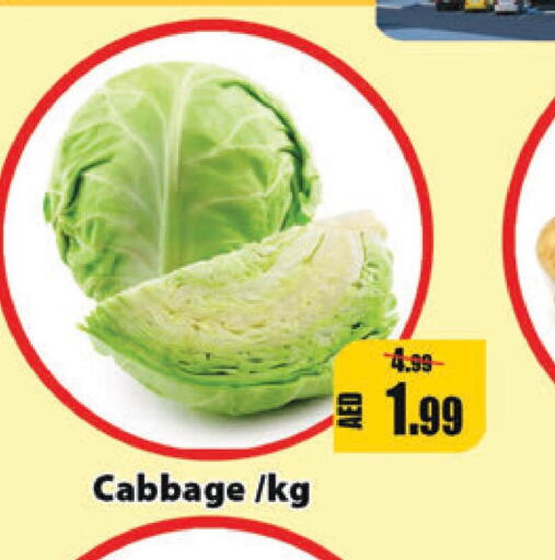  Cabbage  in Leptis Hypermarket  in UAE - Umm al Quwain