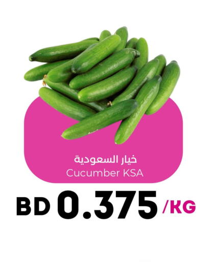  Cucumber  in رويان ماركت in البحرين