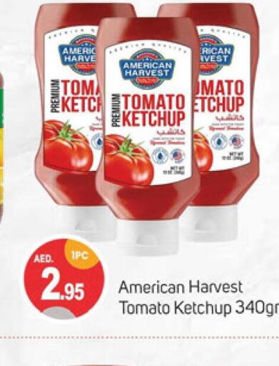 AMERICAN HARVEST Tomato Ketchup  in سوق طلال in الإمارات العربية المتحدة , الامارات - الشارقة / عجمان