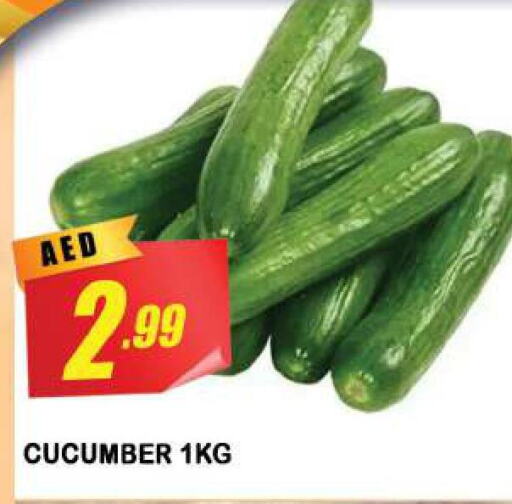  Cucumber  in أزهر المدينة هايبرماركت in الإمارات العربية المتحدة , الامارات - الشارقة / عجمان
