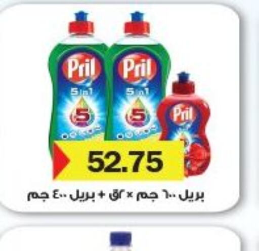 PRIL   in رويال هاوس in Egypt - القاهرة