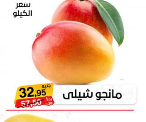Mango Mango  in بيت الجملة in Egypt - القاهرة