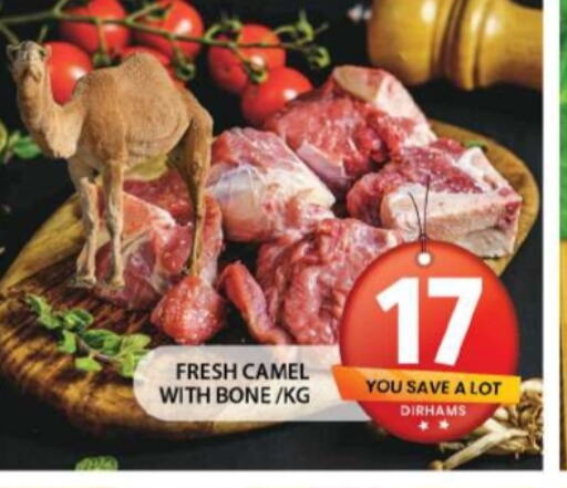  Camel meat  in جراند هايبر ماركت in الإمارات العربية المتحدة , الامارات - الشارقة / عجمان