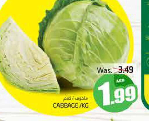  Cabbage  in مجموعة باسونس in الإمارات العربية المتحدة , الامارات - ٱلْعَيْن‎