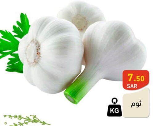  Garlic  in Aswaq Ramez in KSA, Saudi Arabia, Saudi - Riyadh
