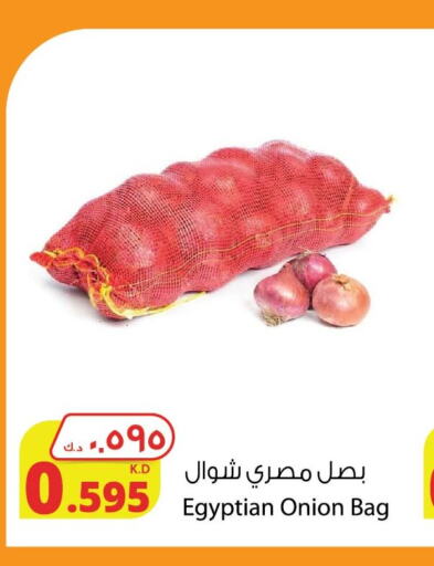  Onion  in Agricultural Food Products Co. in Kuwait - Kuwait City
