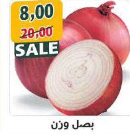  Onion  in Awlad Hassan Markets in Egypt - Cairo