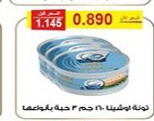  Tuna - Canned  in Al Fintass Cooperative Society  in Kuwait - Kuwait City