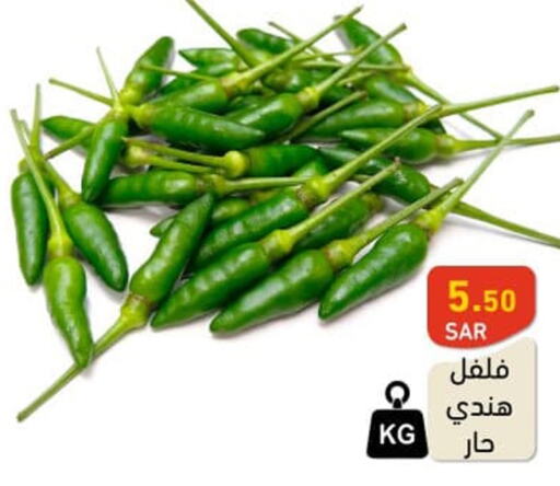  Chilli / Capsicum  in Aswaq Ramez in KSA, Saudi Arabia, Saudi - Riyadh