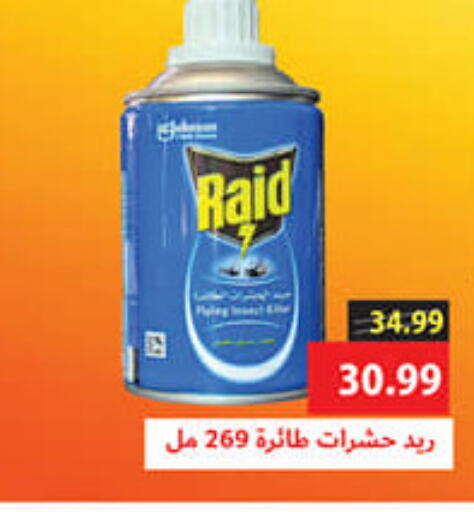 RAID   in AlSultan Hypermarket in Egypt - Cairo