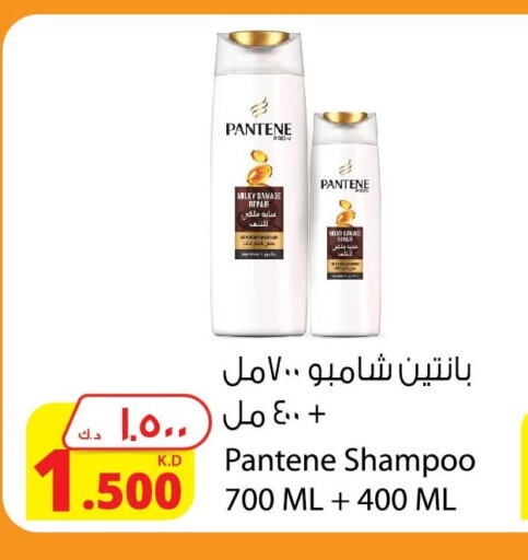 PANTENE Shampoo / Conditioner  in شركة المنتجات الزراعية الغذائية in الكويت - مدينة الكويت