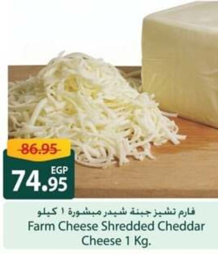  Cheddar Cheese  in Spinneys  in Egypt - Cairo