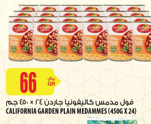CALIFORNIA GARDEN Fava Beans  in شركة الميرة للمواد الاستهلاكية in قطر - الدوحة