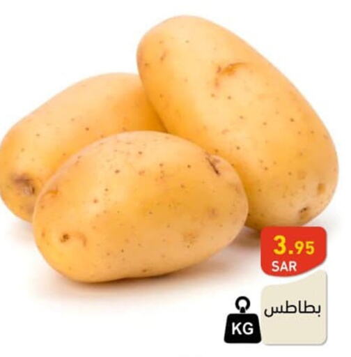  Potato  in أسواق رامز in مملكة العربية السعودية, السعودية, سعودية - الأحساء‎