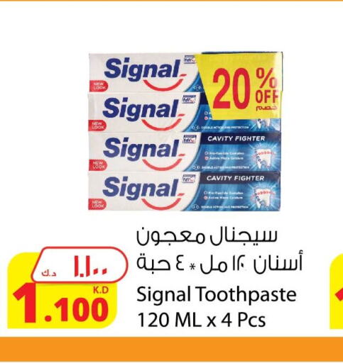SIGNAL Toothpaste  in Agricultural Food Products Co. in Kuwait - Ahmadi Governorate