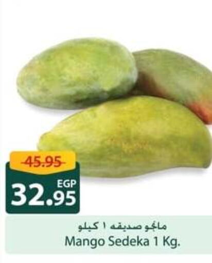 Mango Mango  in سبينس in Egypt - القاهرة