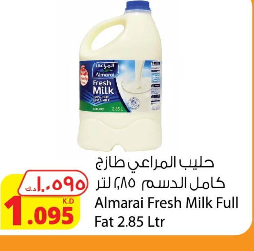ALMARAI Fresh Milk  in Agricultural Food Products Co. in Kuwait - Ahmadi Governorate