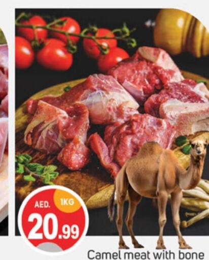  Camel meat  in سوق طلال in الإمارات العربية المتحدة , الامارات - دبي