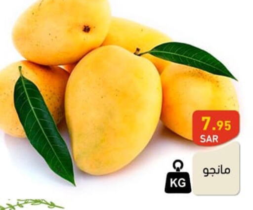 Mango Mango  in Aswaq Ramez in KSA, Saudi Arabia, Saudi - Hafar Al Batin