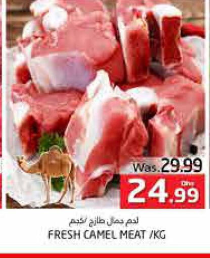  Camel meat  in مجموعة باسونس in الإمارات العربية المتحدة , الامارات - ٱلْعَيْن‎