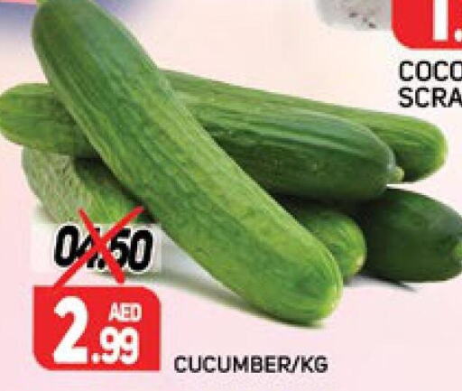  Cucumber  in مركز النخيل هايبرماركت in الإمارات العربية المتحدة , الامارات - الشارقة / عجمان