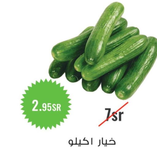  Cucumber  in أسواق و مخابز تفاح in مملكة العربية السعودية, السعودية, سعودية - جدة