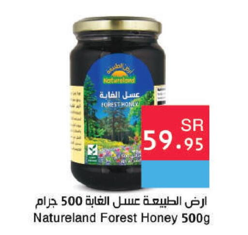  Honey  in Hala Markets in KSA, Saudi Arabia, Saudi - Jeddah