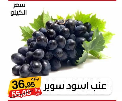 Grapes  in بيت الجملة in Egypt - القاهرة
