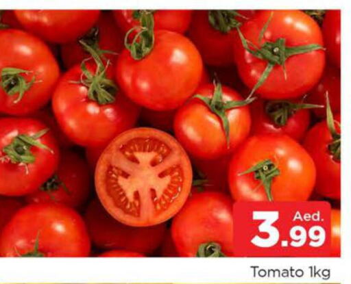  Tomato  in المدينة in الإمارات العربية المتحدة , الامارات - الشارقة / عجمان