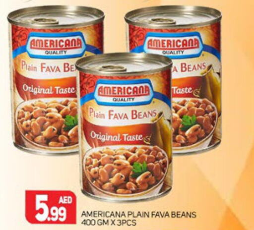AMERICANA Fava Beans  in Palm Centre LLC in UAE - Sharjah / Ajman